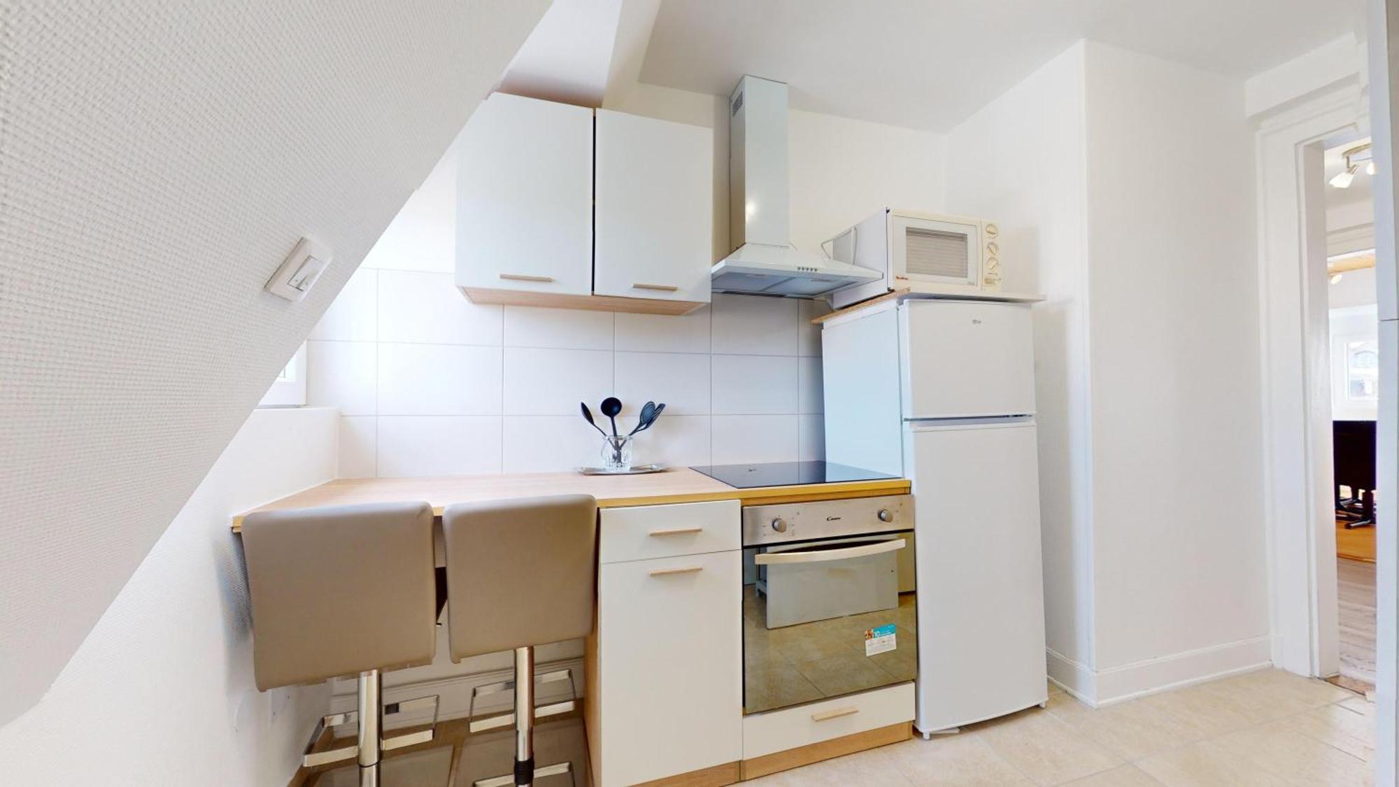 Les Appartements De Georges Avec Parking Colmar Esterno foto