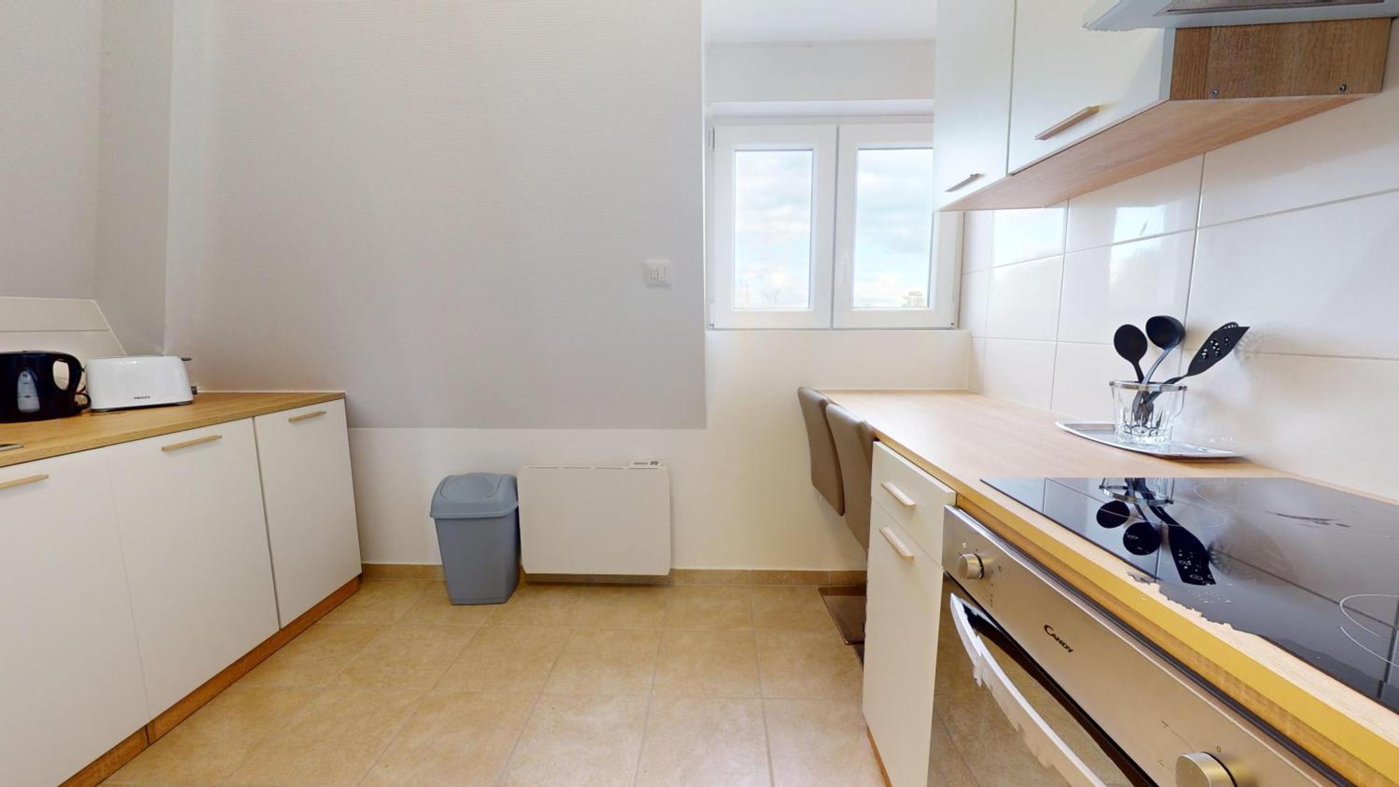Les Appartements De Georges Avec Parking Colmar Esterno foto