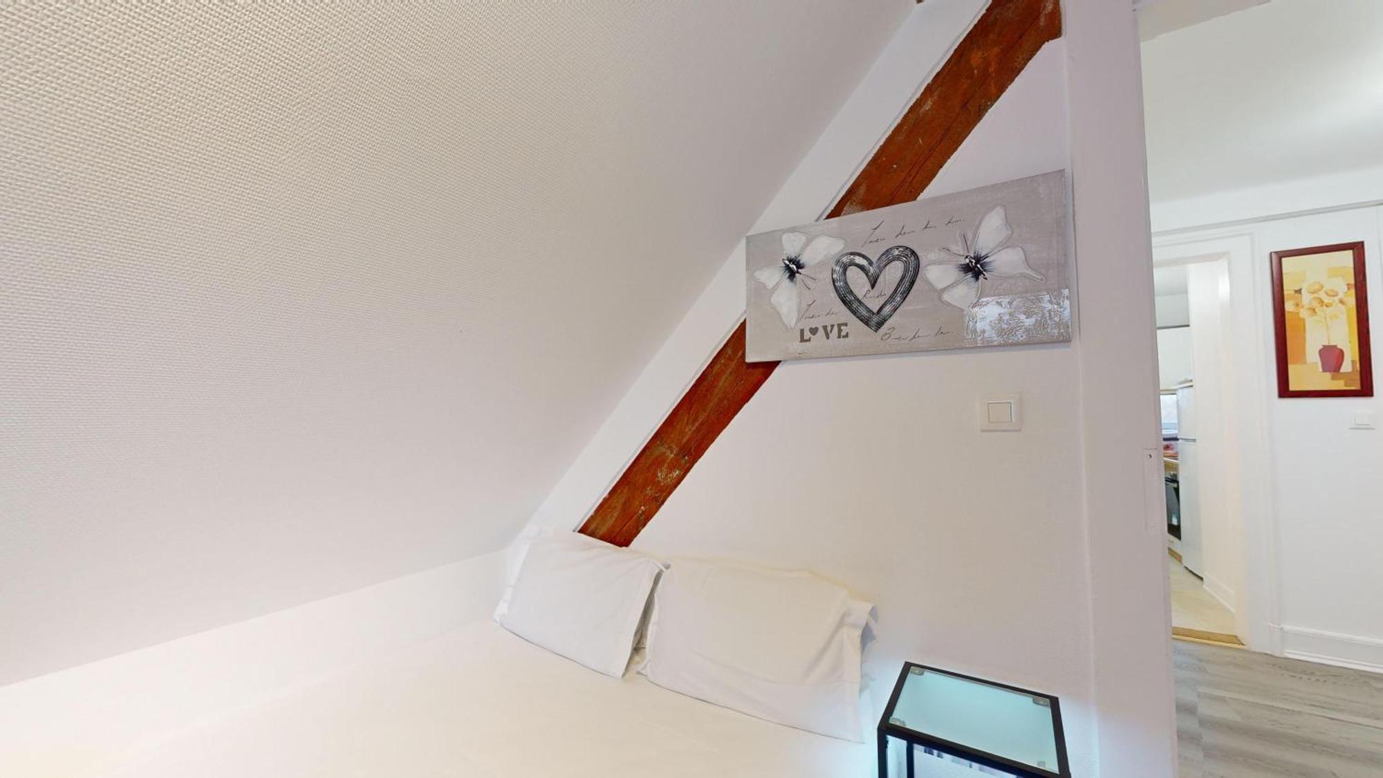 Les Appartements De Georges Avec Parking Colmar Esterno foto
